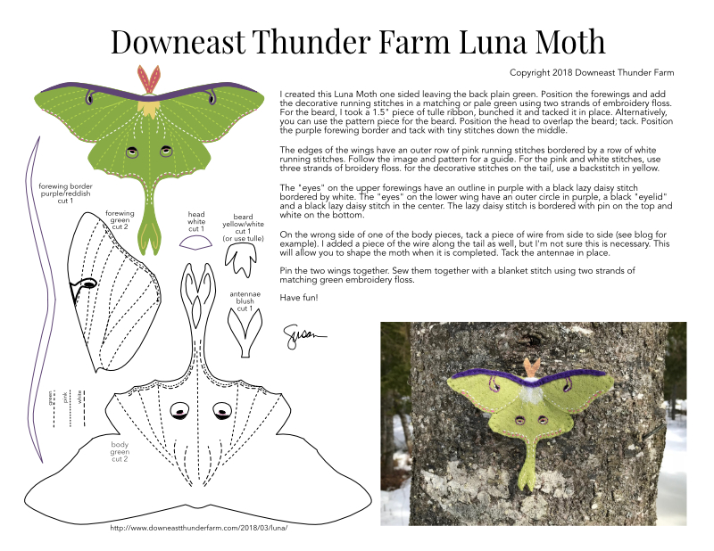 Luna Moth