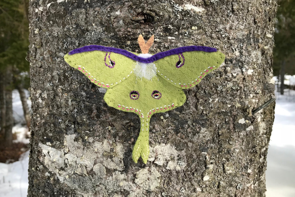 luna moth pattern