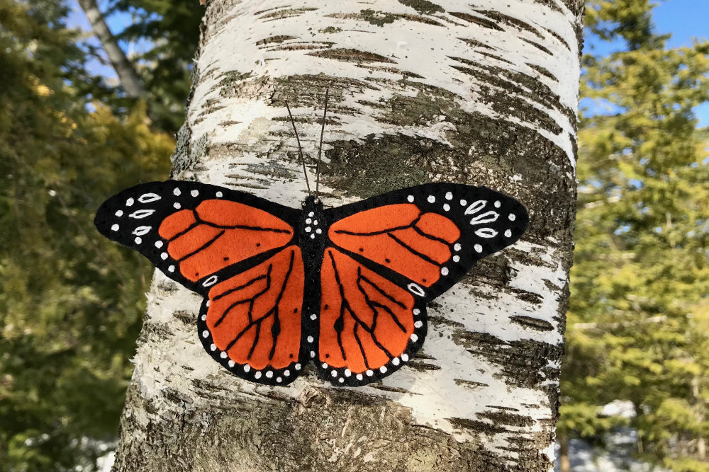 monarch butterfly pattern