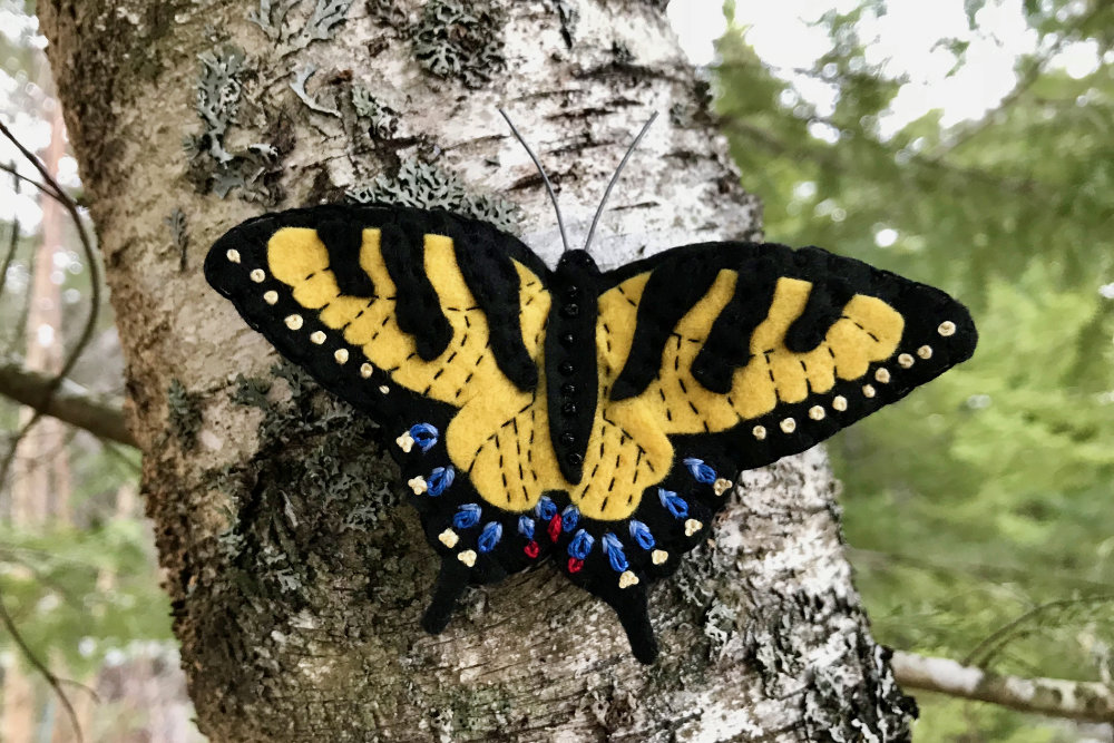 Eastern Swallowtail Butterfly