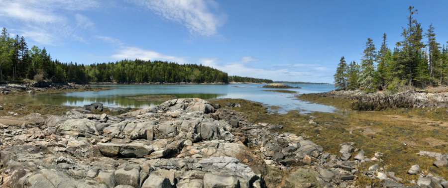 Alaska Cove at Willard Point