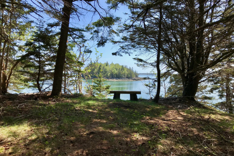 Willard Point on Pleasant Bay