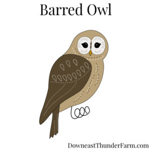 barred owl felt sewing kit