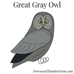 Great Gray Owl Kit