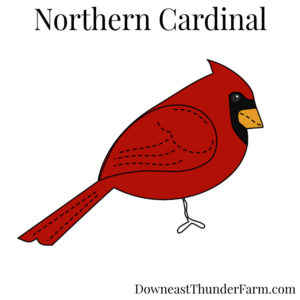 Northern Cardinal Kit