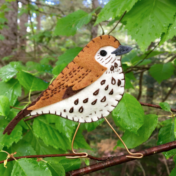 Wood Thrush Kit - Image 2