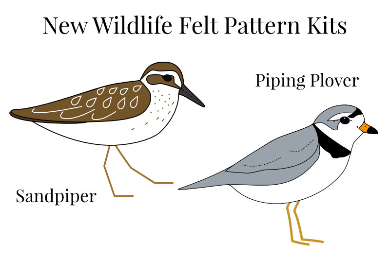 Piping Plover, Sandpiper, and Felt Join the Shop