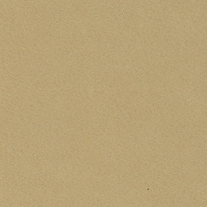 Champagne Felt Sheet