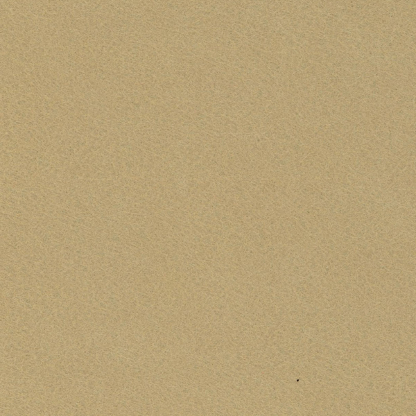 Champagne Felt Sheet