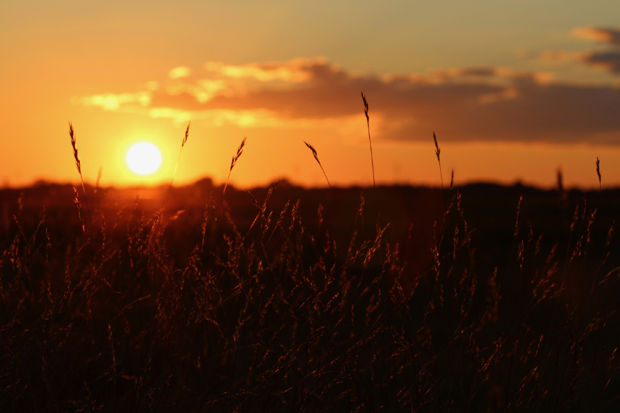 Barren Sunset by Hannah S. Bennett