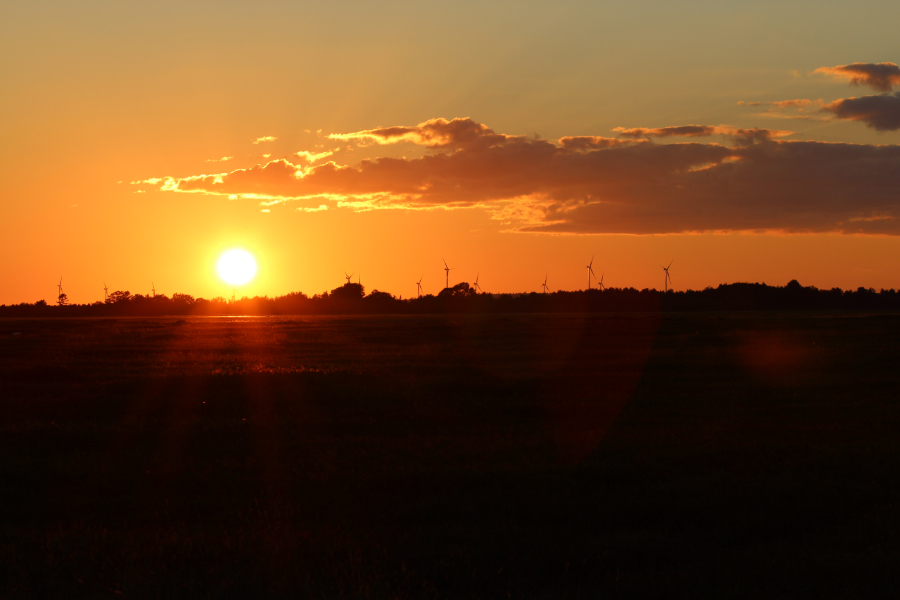 Barren Sunset by Hannah S. Bennett