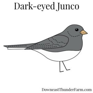 Dark-eyed Junco Kit