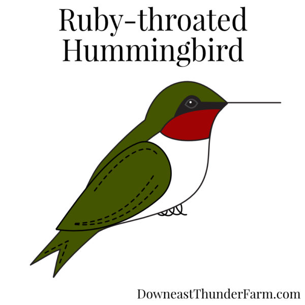 ruby-throated hummingbird pattern kit