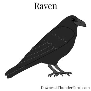 Raven Kit