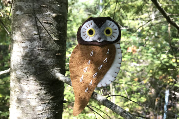 Boreal Owl Kit - Image 2