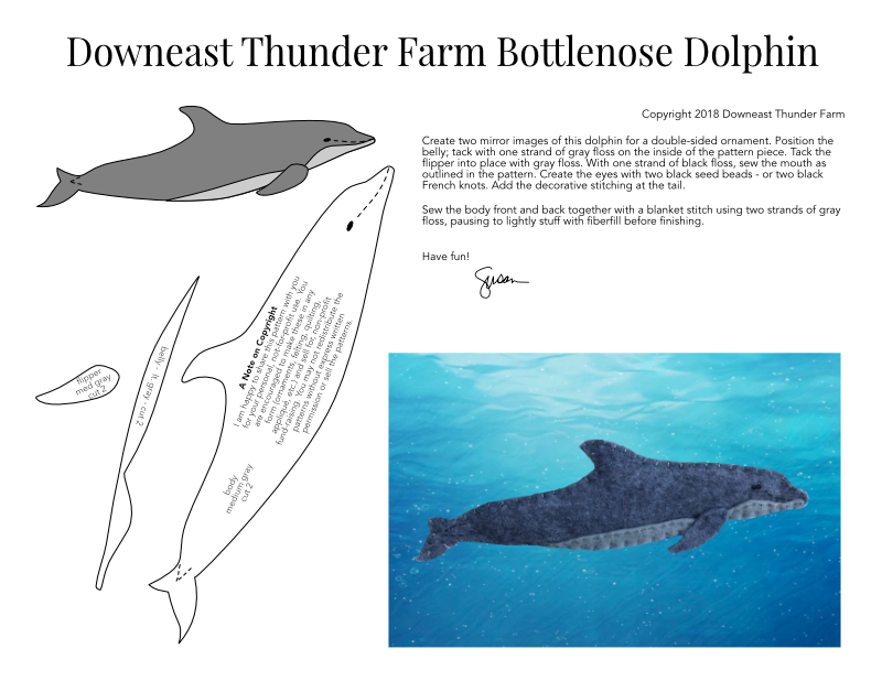 Bottlenose Dolphin