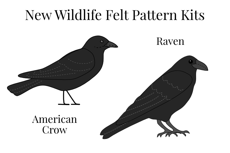 New to the SHOP: American Crow and Raven