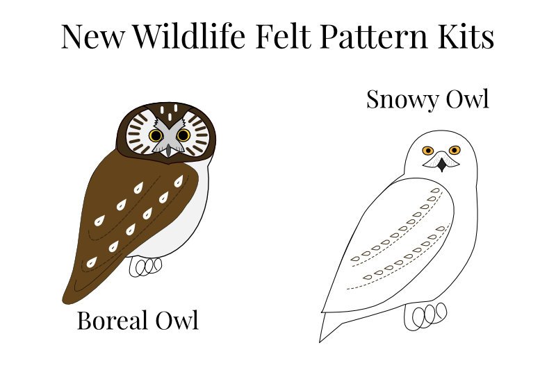 New to the SHOP: Snowy and Boreal Owls