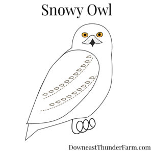 snowy owl felt kit