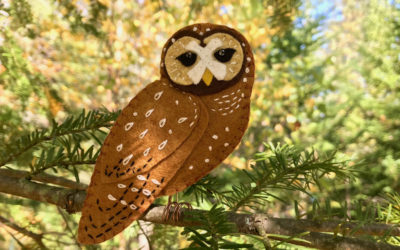 The Delightful Spotted Owl – Free Pattern