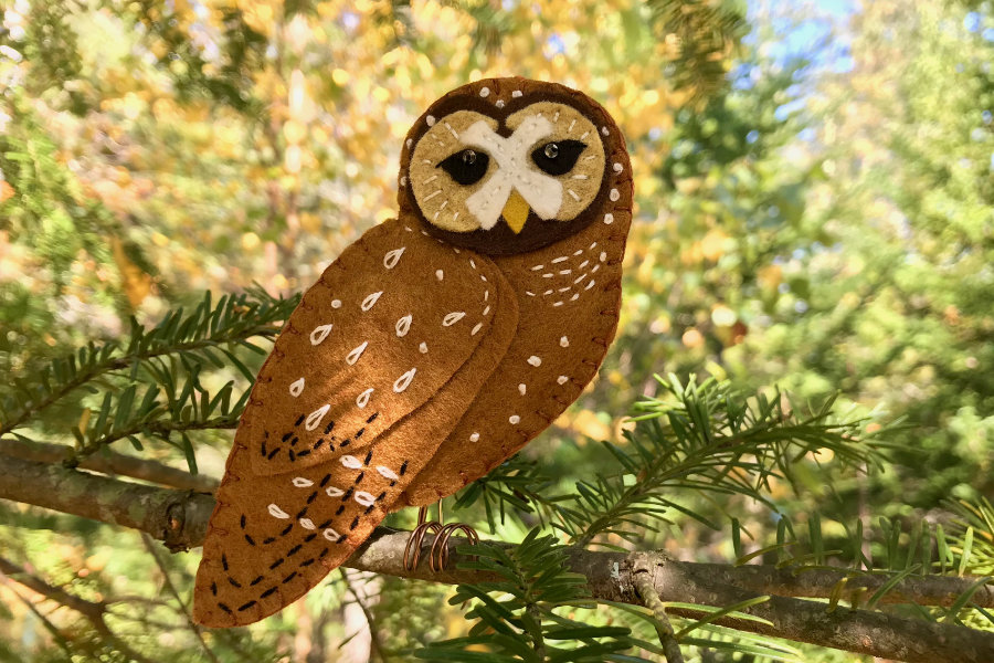 The Delightful Spotted Owl – Free Pattern