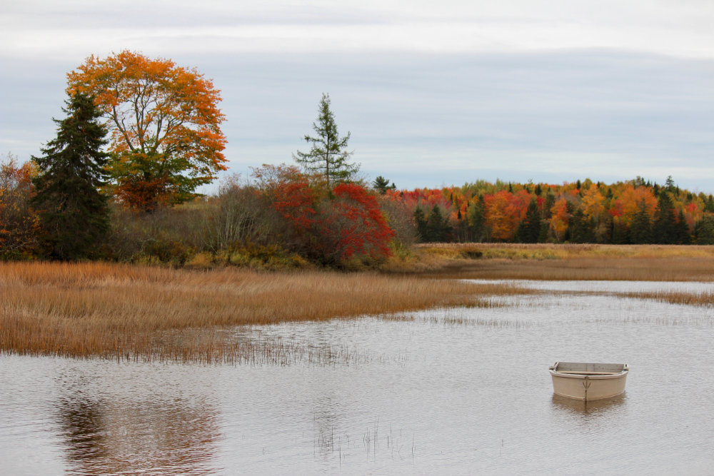 Pleasant River in Autumn