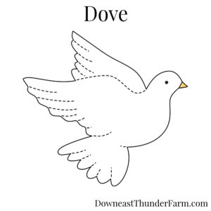 Dove Kit