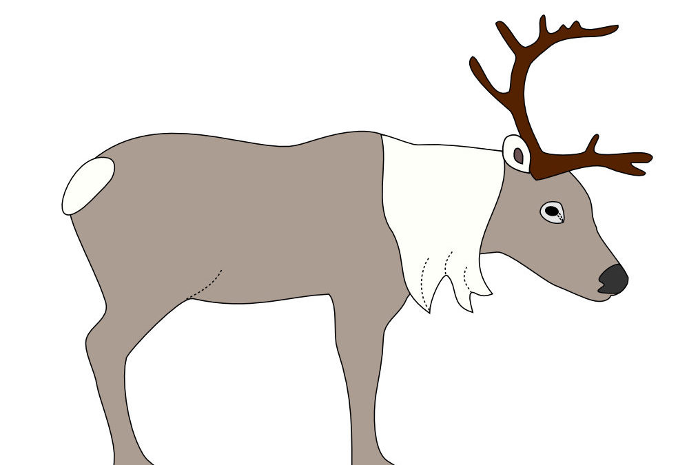 Reindeer Kit