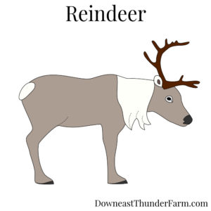 Reindeer Felt Pattern Kit