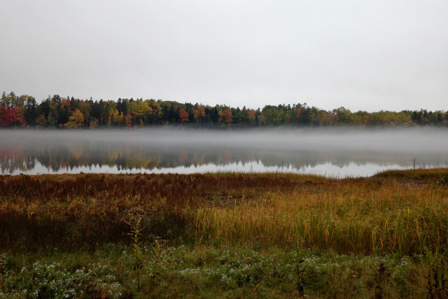 river in the fog