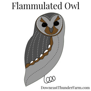 flammulated owl felt kit