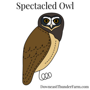 spectacled owl felt kit