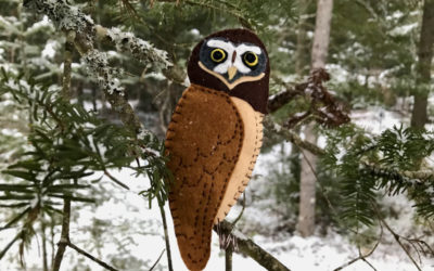 The Spiffy Spectacled Owl