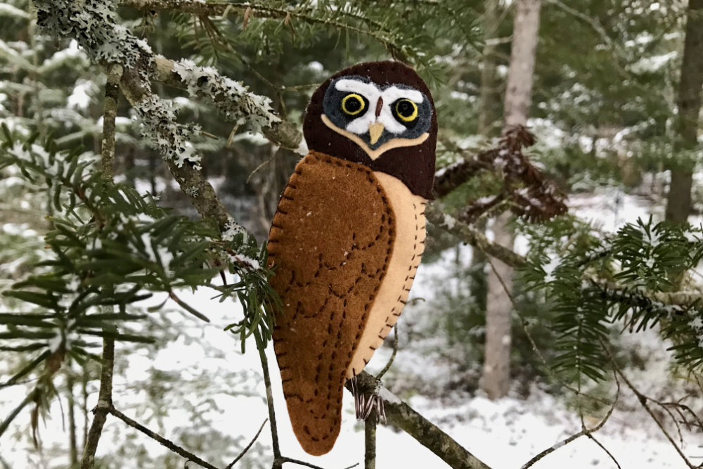 Free Spectacled Owl Felt Pattern