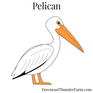 Pelican felt pattern kit