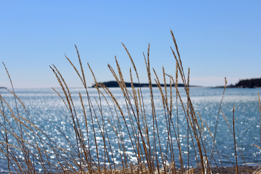 artistic views of roque bluffs