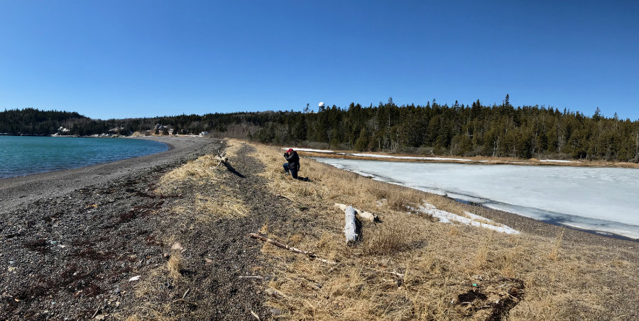 photography at jasper beach