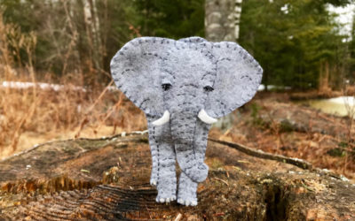 Ellie the Endearing Elephant