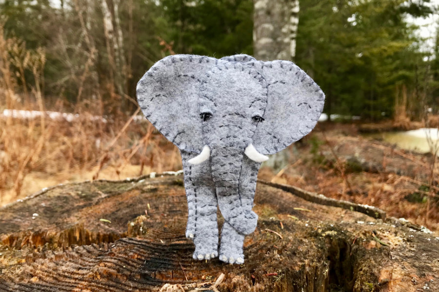 Ellie the Endearing Elephant