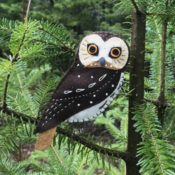 Northern Saw-whet Owl Kit - Image 2