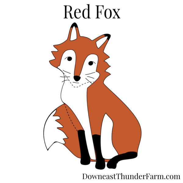 fox kit