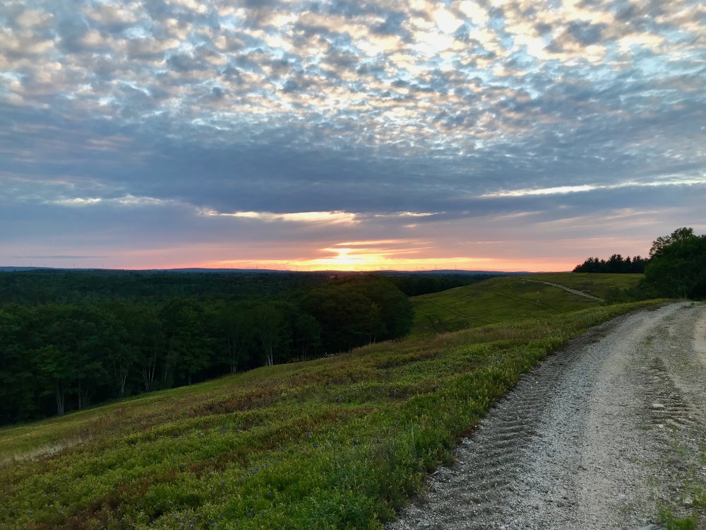 Maine Sunsets