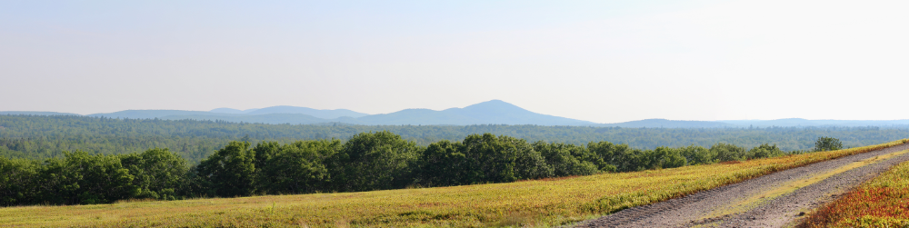 barrens and mountains pan