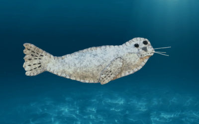 The Solitary Seal