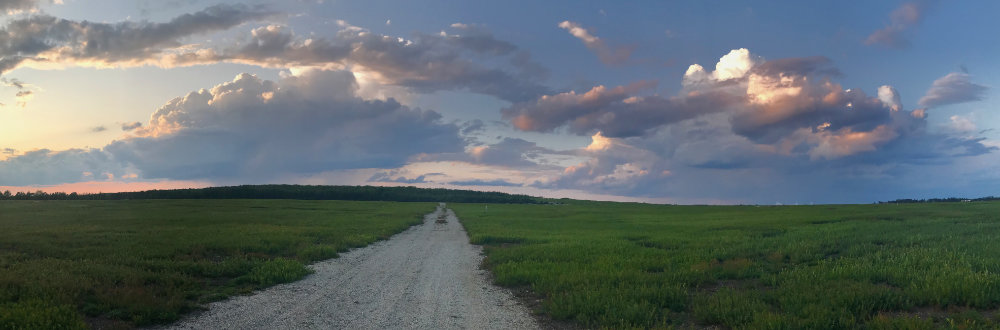 Maine sunset over the blueberry barrens