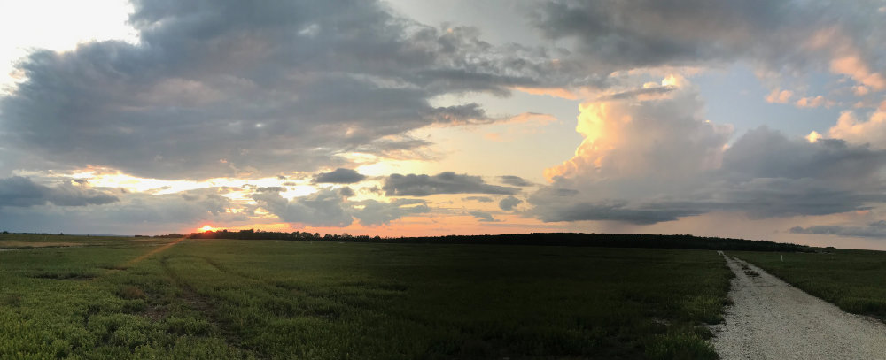 Maine sunset over the blueberry barrens