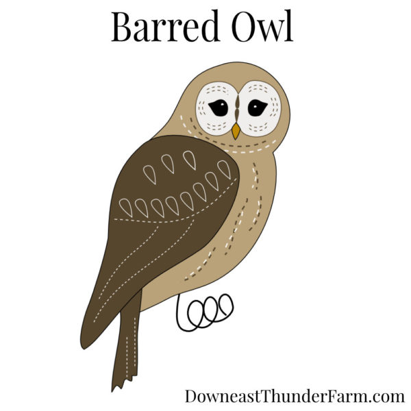 Barred Owl Book