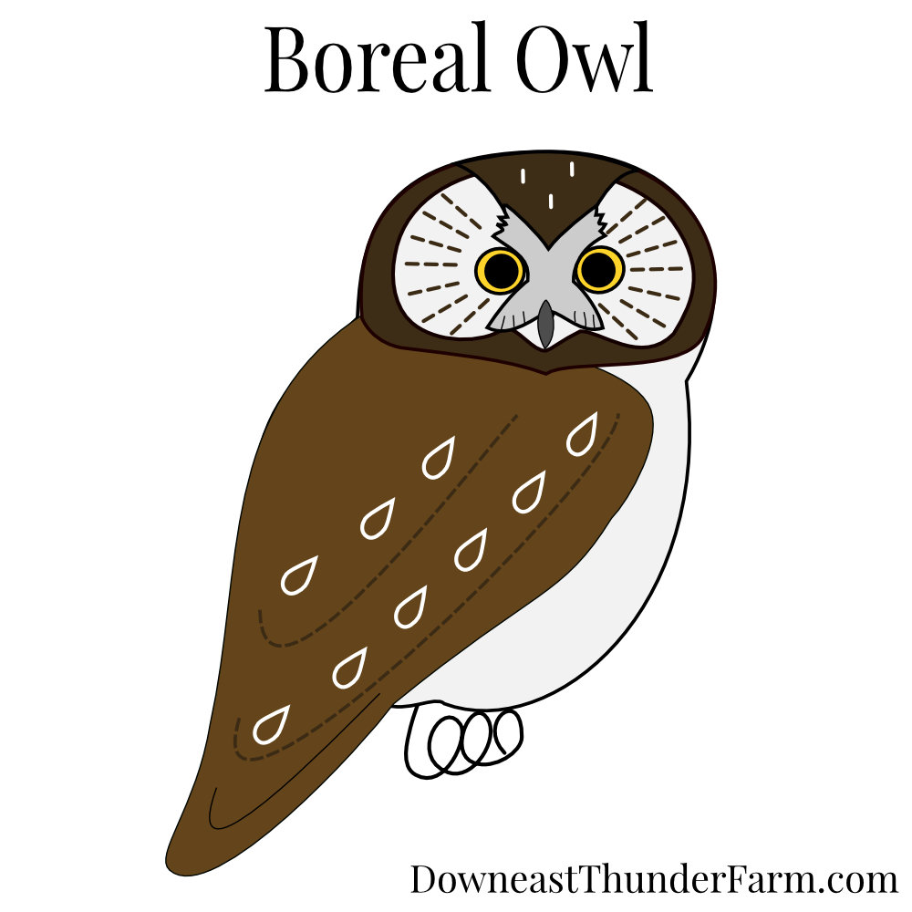 Buy Felt animals Owl with bow online