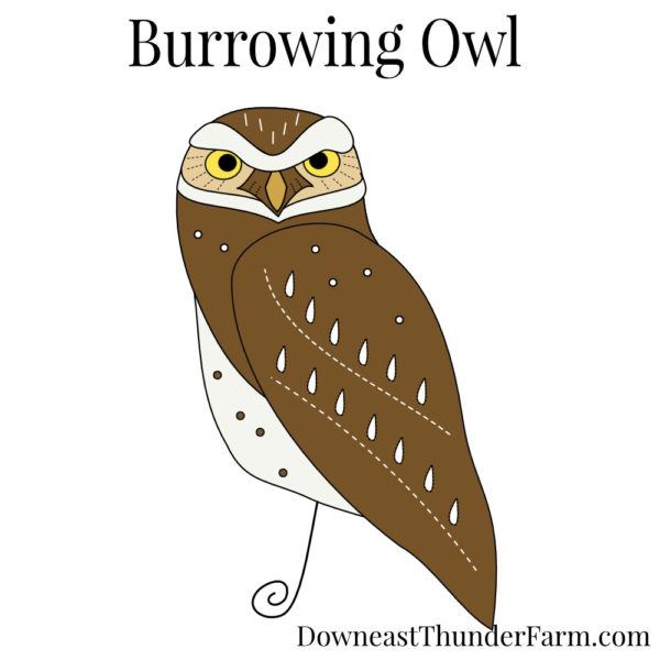 Burrowing Owl Book