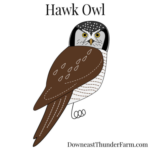 Northern Hawk Owl Book